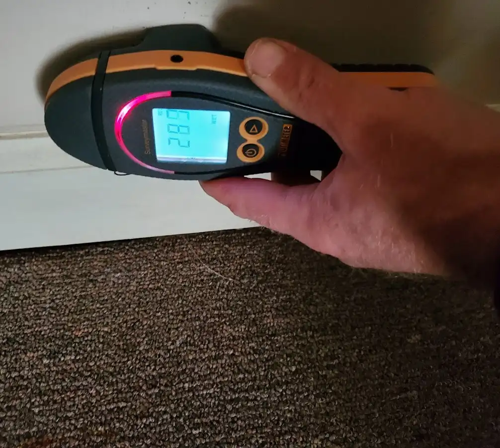 Moisture detection at baseboard during Sewage Cleanup & Sanitation in Leland